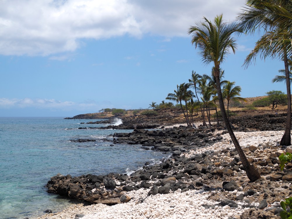 Rocky Shoreline in the Hawaiian Desert