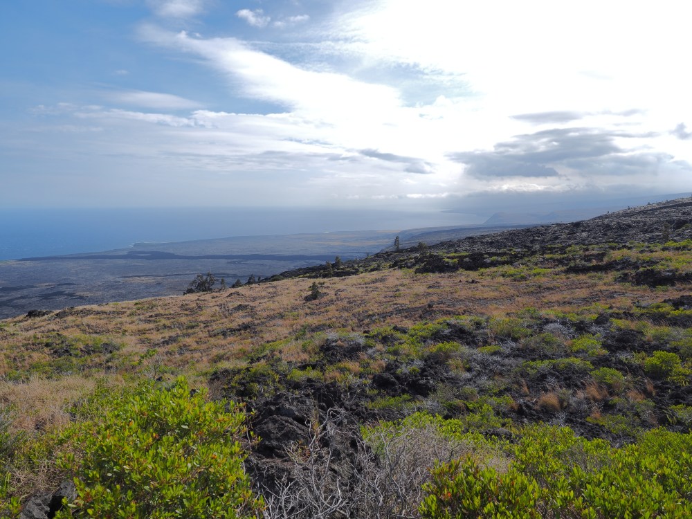 Kilauea at Volcanos National Park Looking South