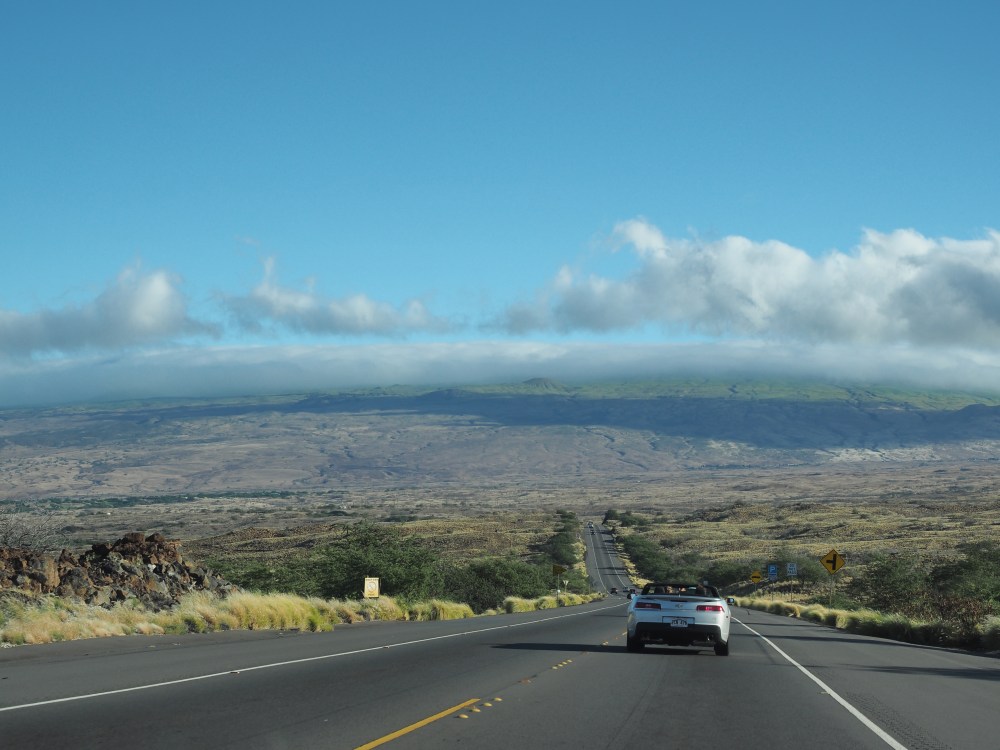 Looking North Toward Kohala Volcano